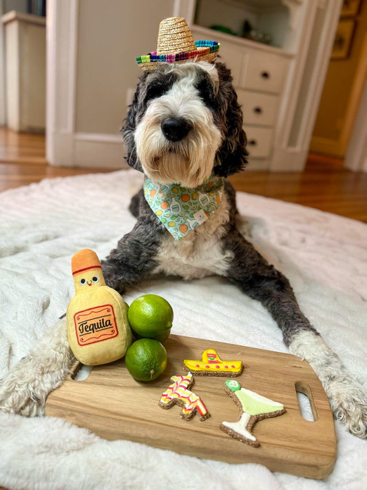 Cinco De Mayo