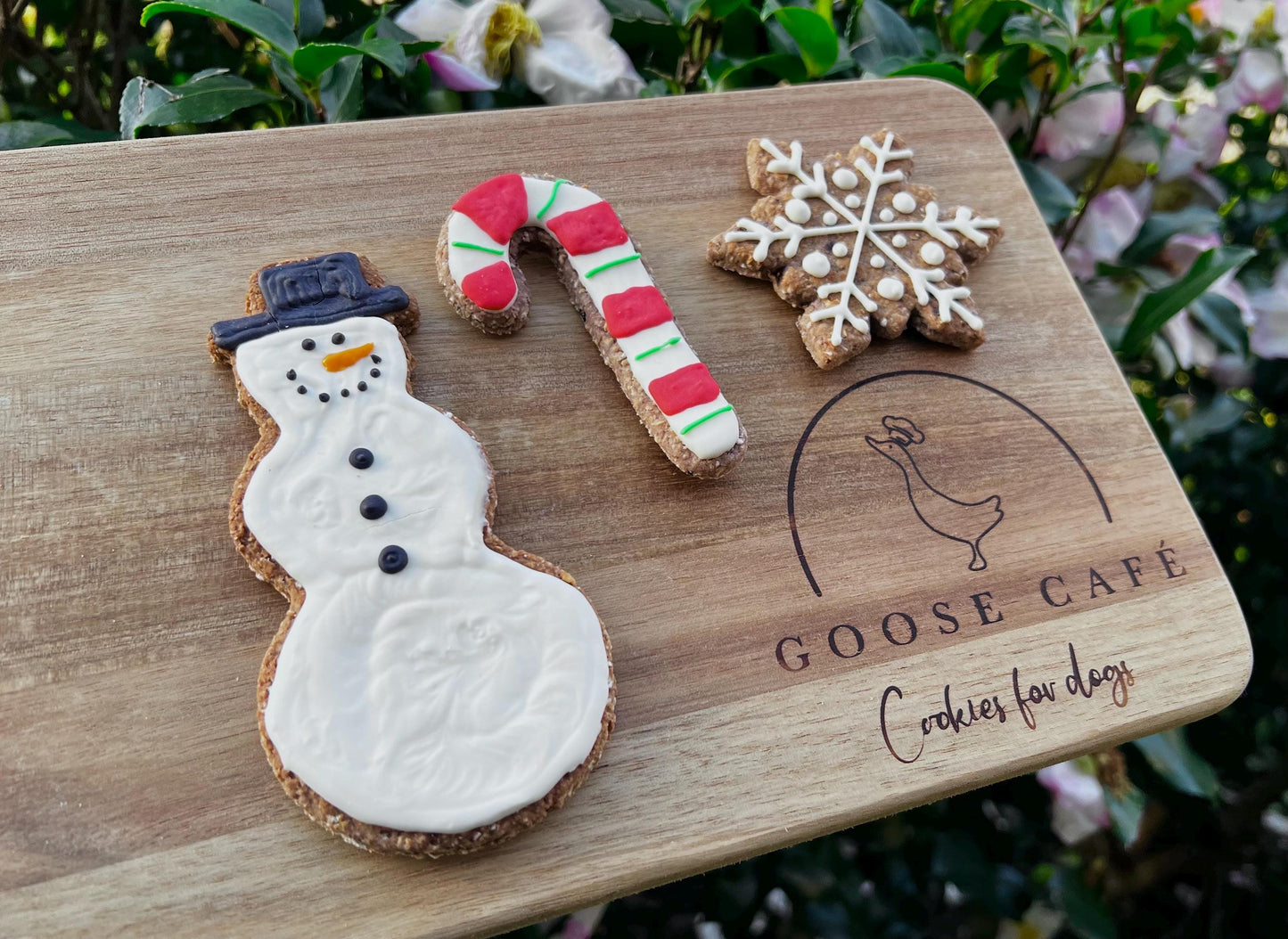 Snow Theme