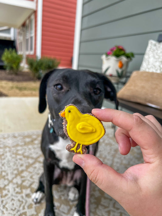 Mini Chicks Set of 3