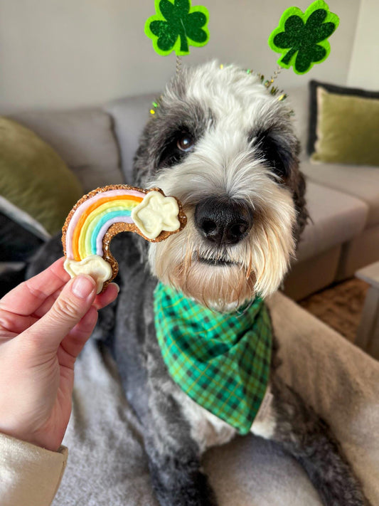 St. Patrick’s Day Theme