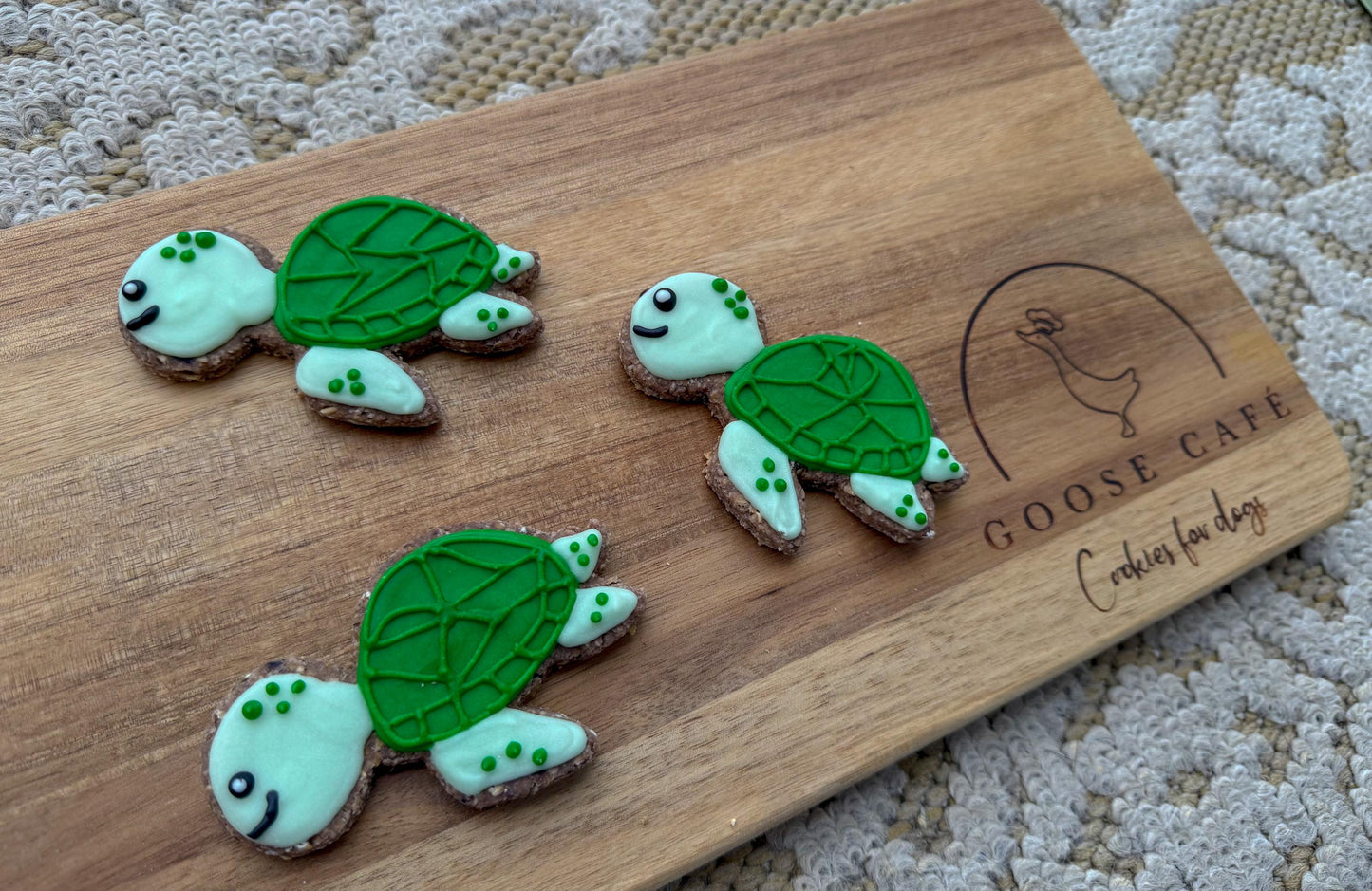 Sea Turtle