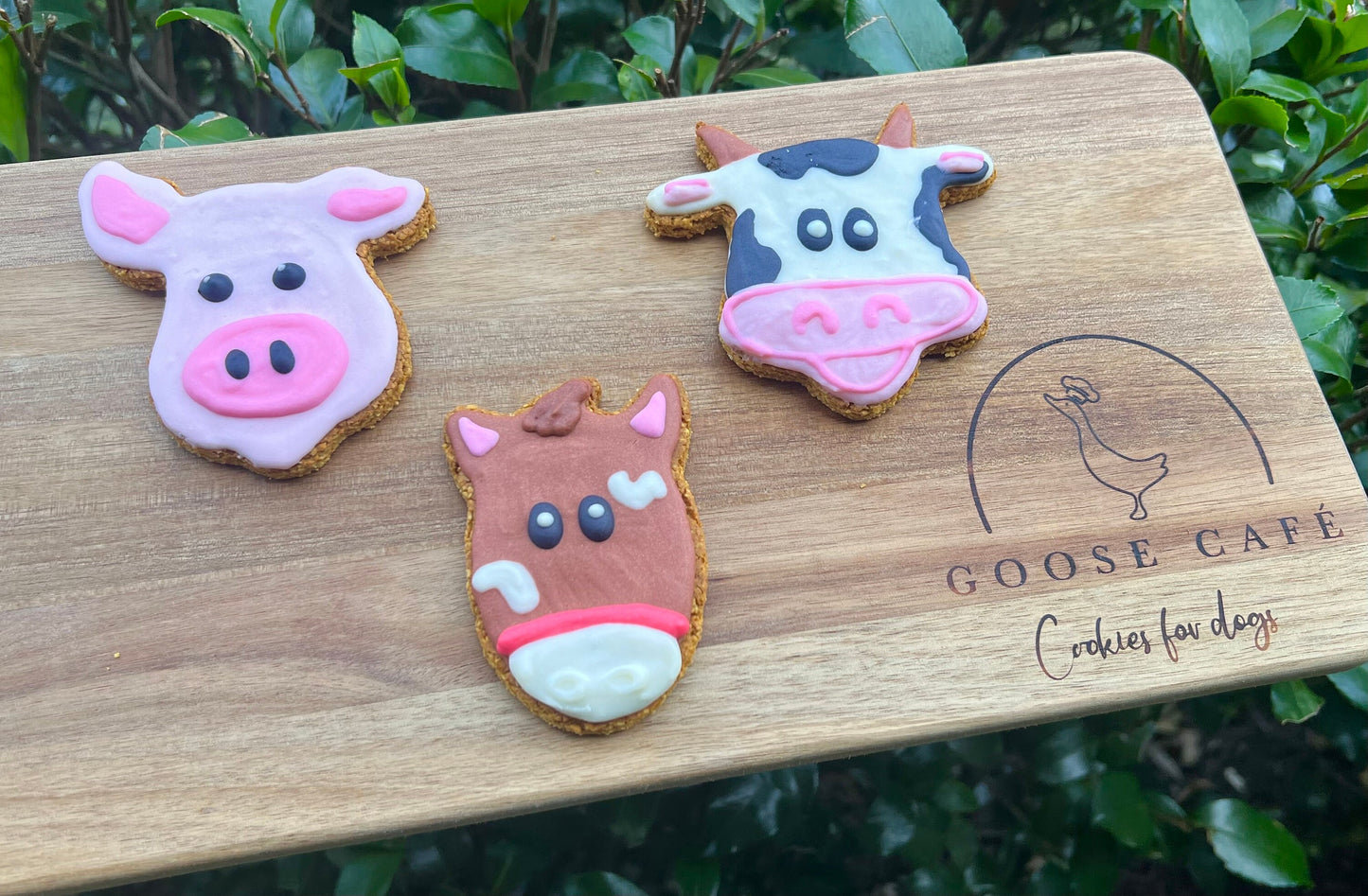 Farm Animals