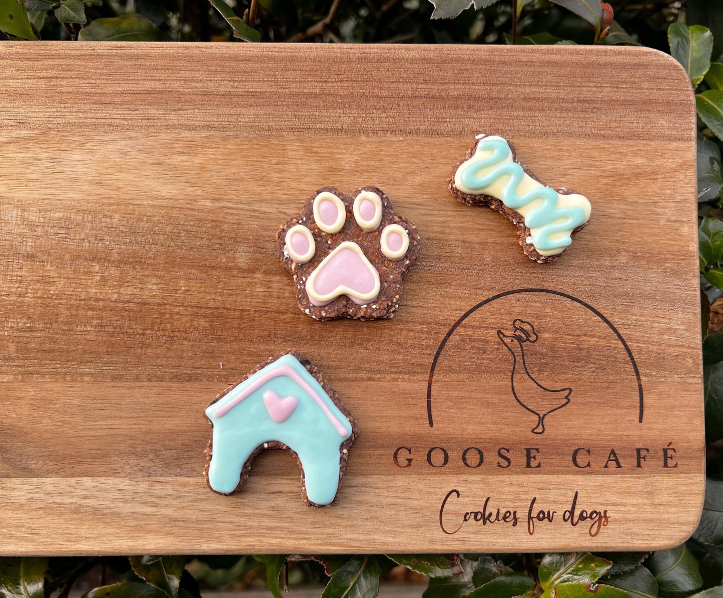 Mini Dog Theme