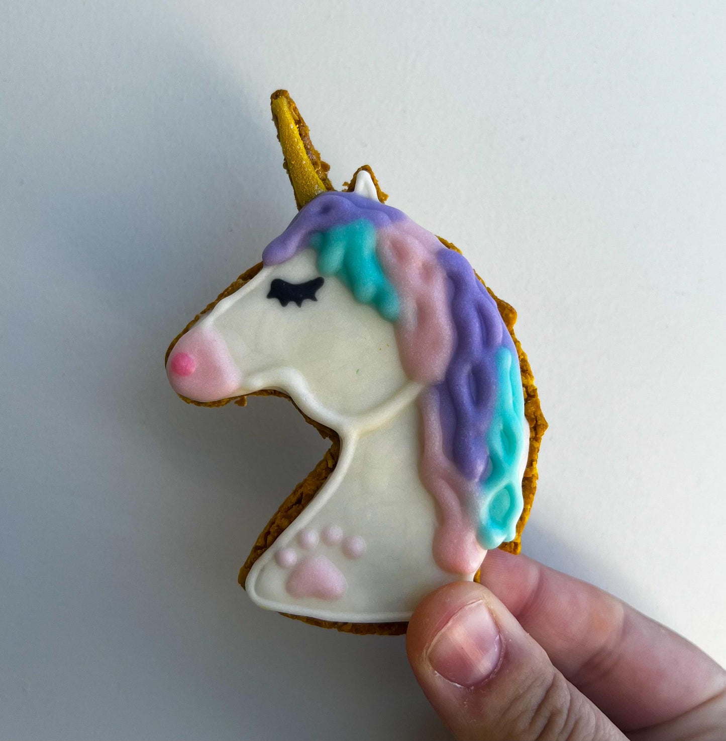 Unicorn, Dinosaur, Dragon