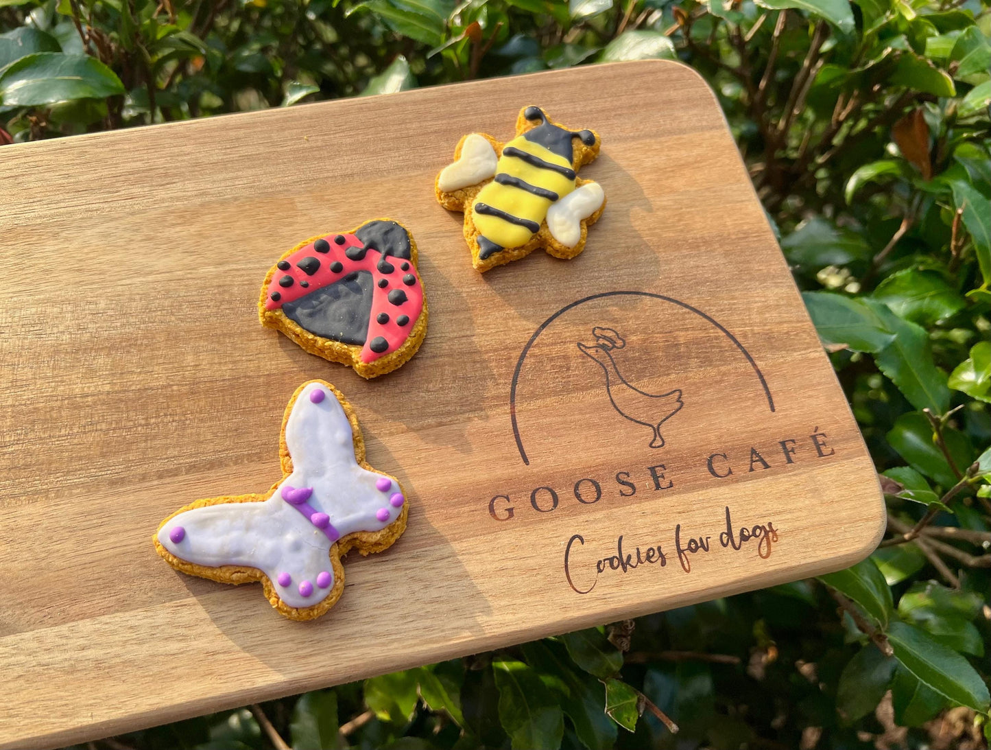 Mini Insects Set of 3