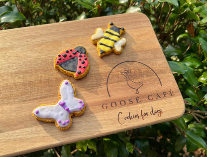 Mini Insects Set of 3