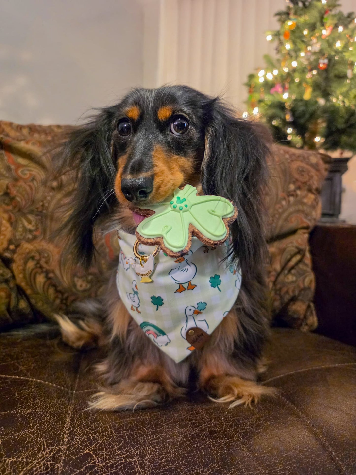 St. Patrick’s Day Theme