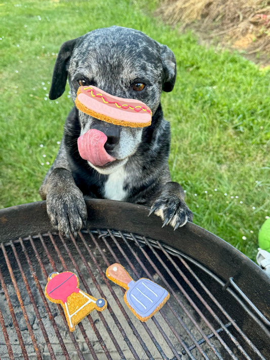 Hotdog Barbecue Grill Theme