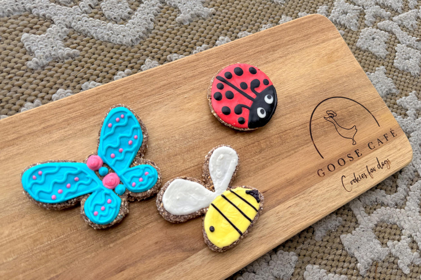 Insect Theme