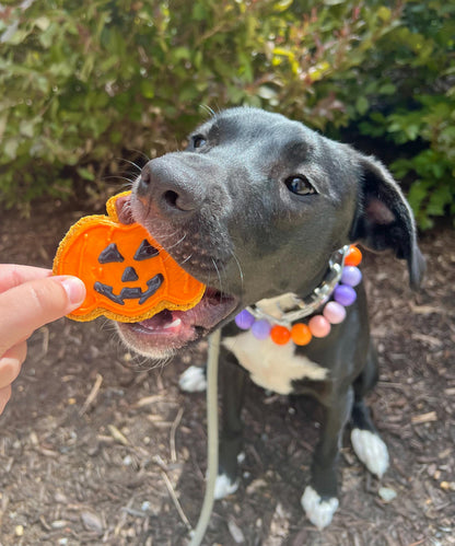 Halloween Theme
