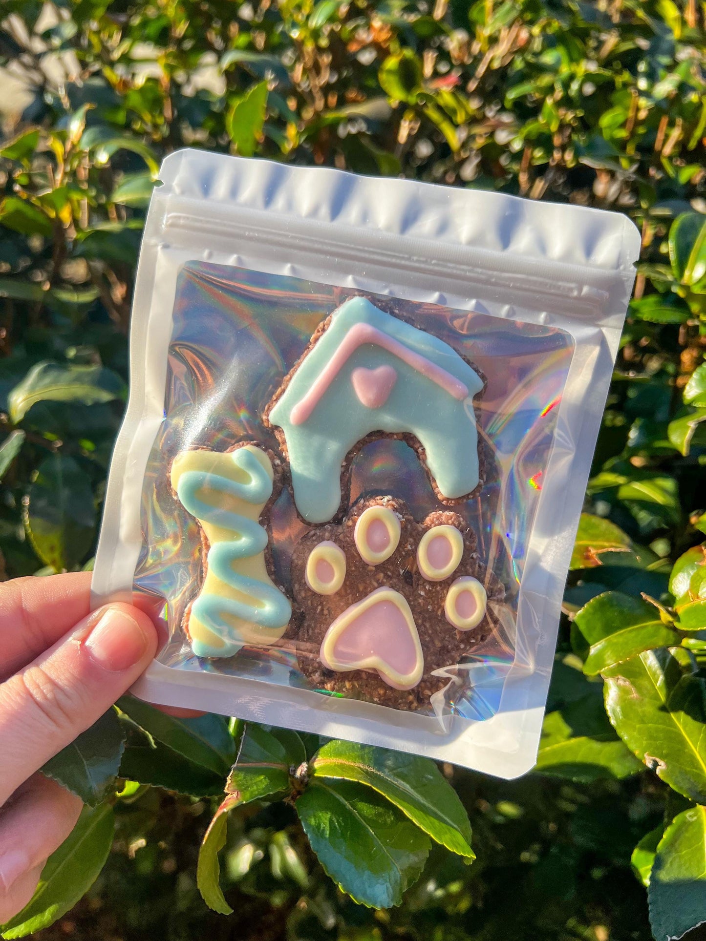 Mini Dog Theme