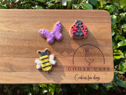 Mini Insects Set of 3