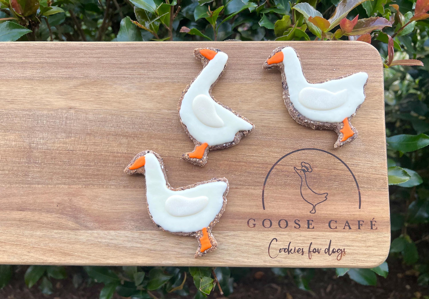 Goose