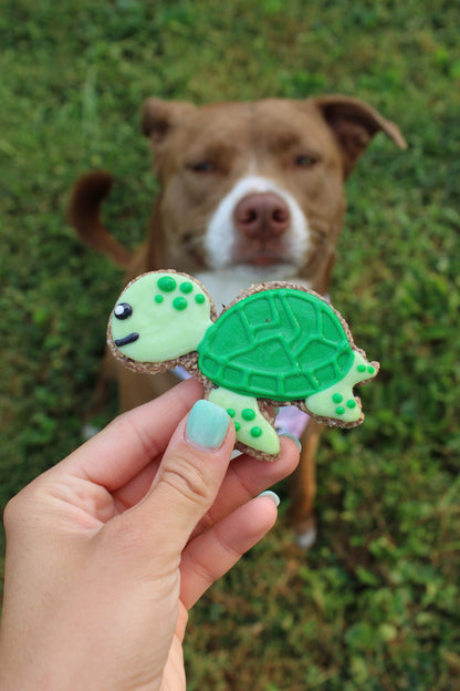 Sea Turtle