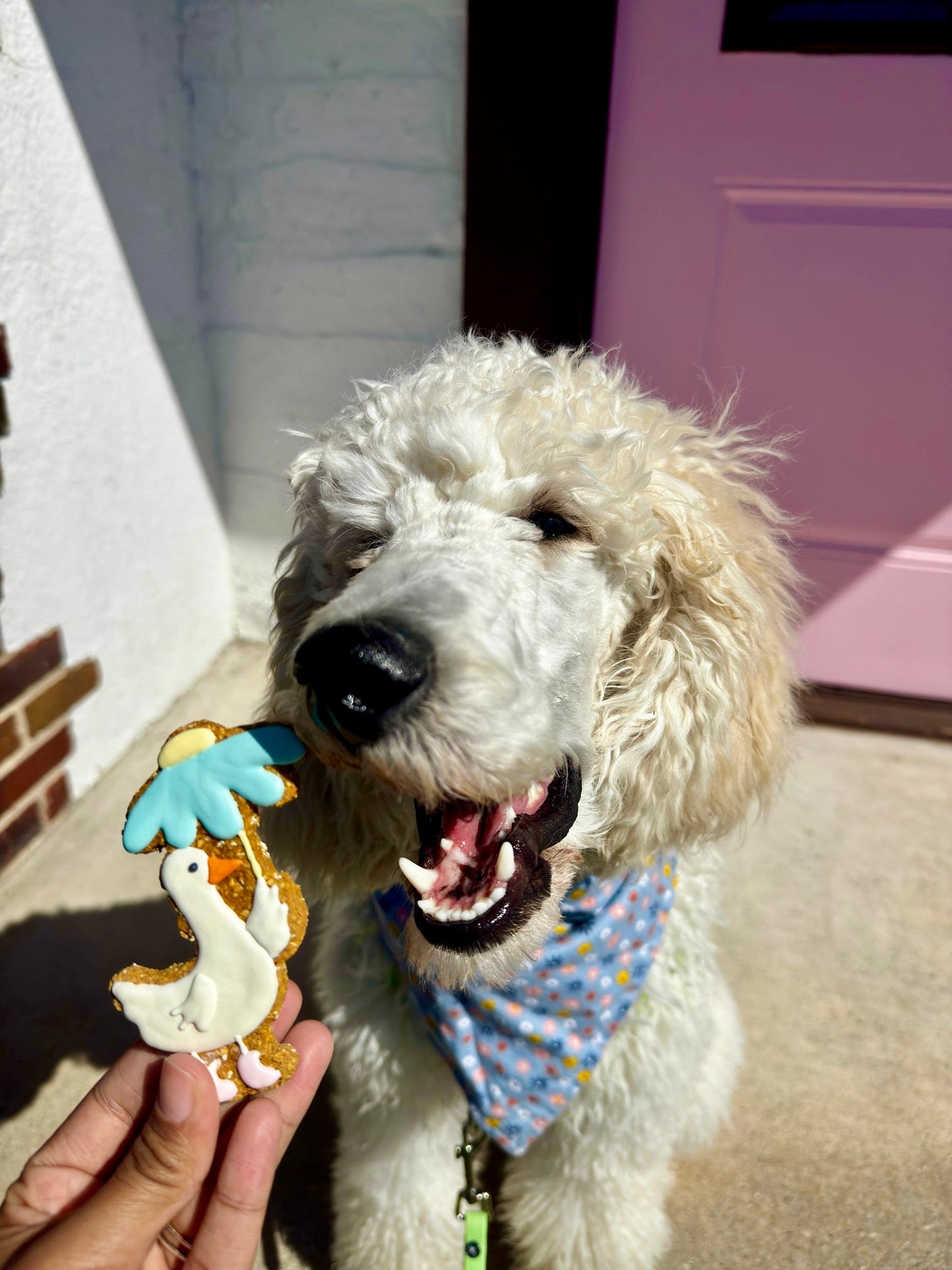Goose with Flower Umbrella