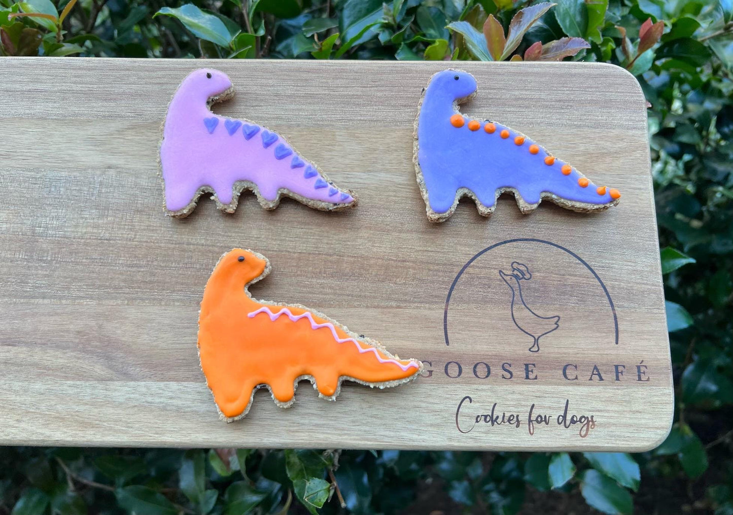 Dinosaur