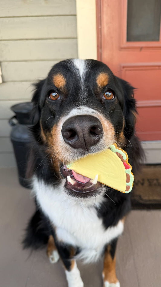 Taco