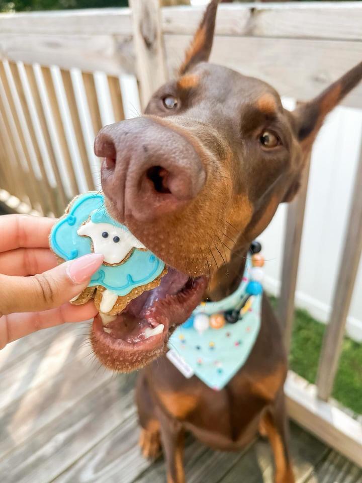 Sheep Stacked Cookie