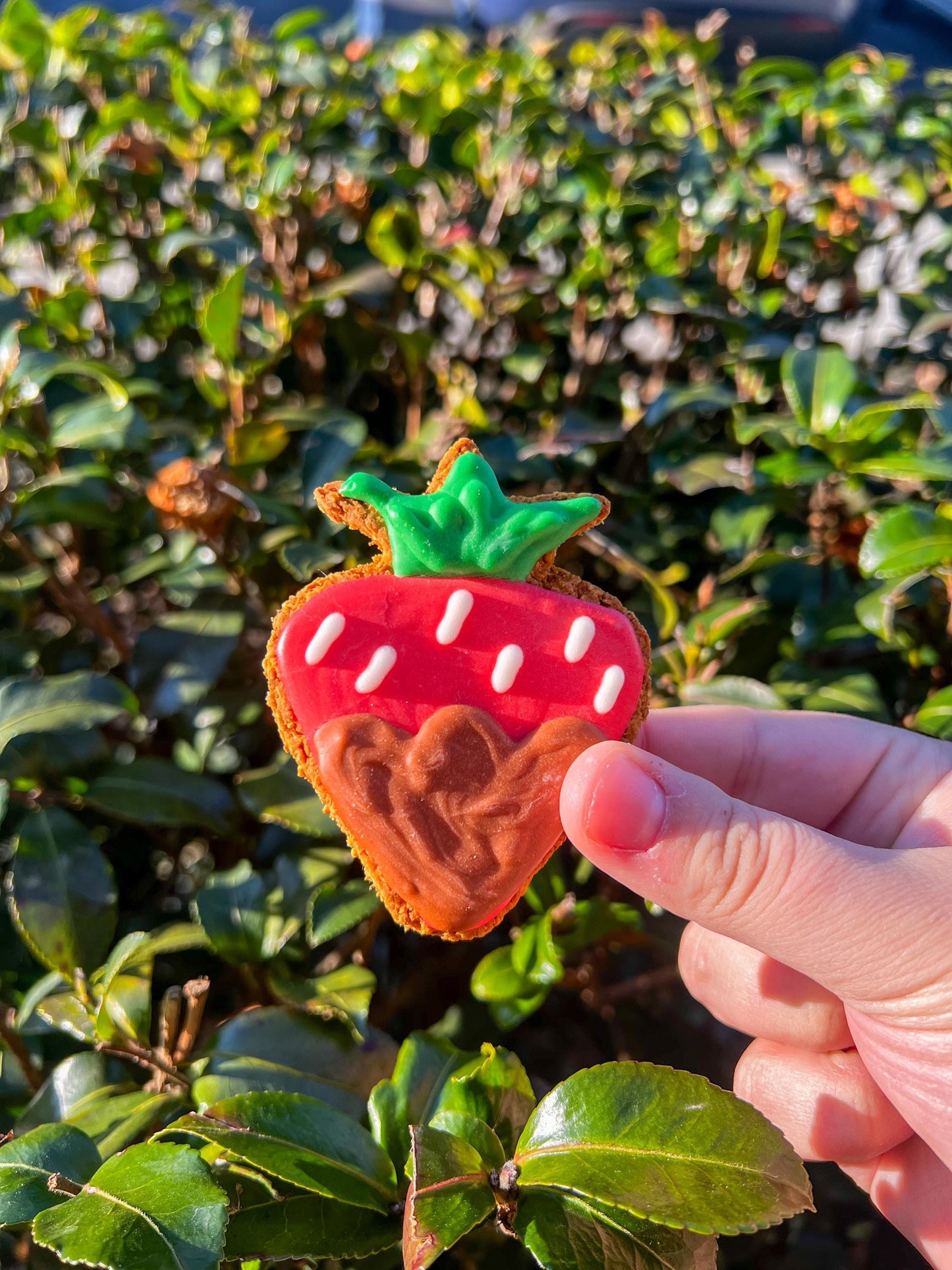 Chocolate Covered Strawberries