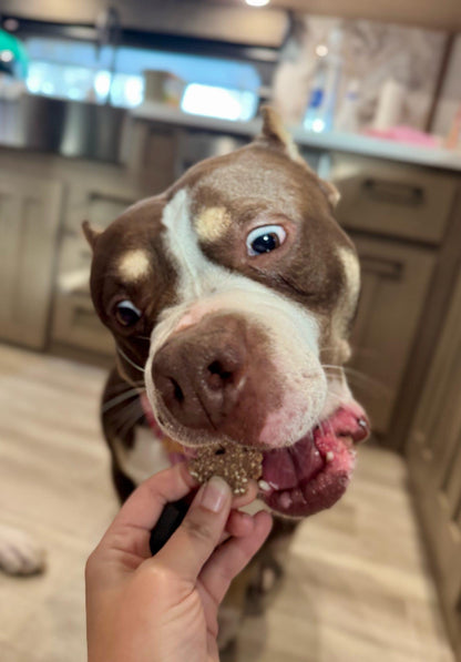 Clover's Crispies - Bite Sized Treats