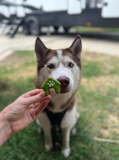 Mini Dog Theme