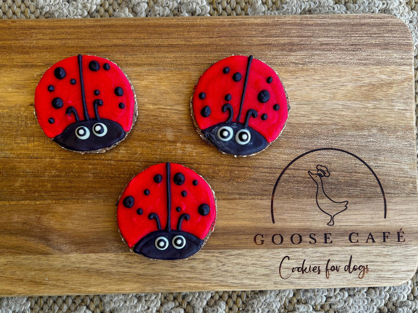 Ladybugs