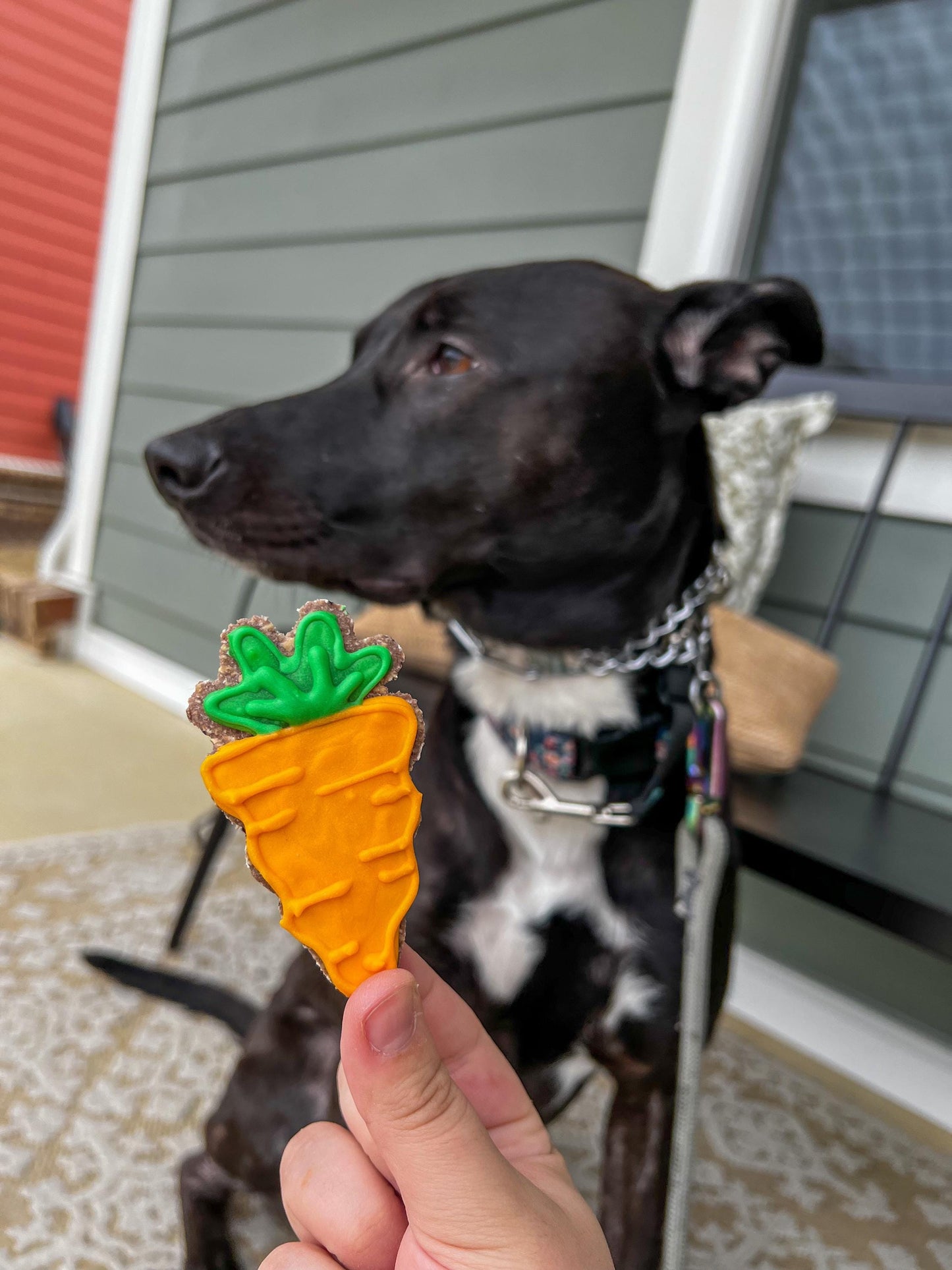 Easter Set of 3, 6, or 9