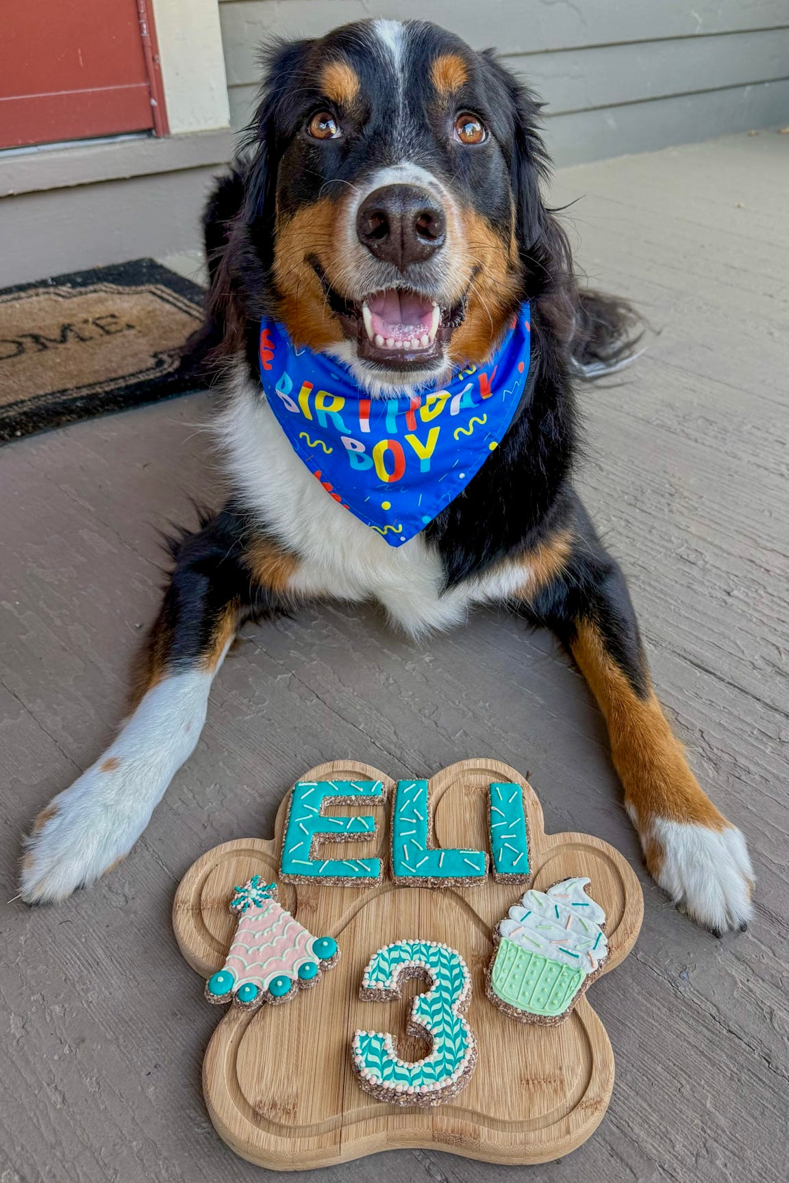 Custom Dog Cookies