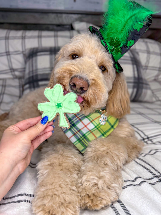 St. Patrick’s Day Theme