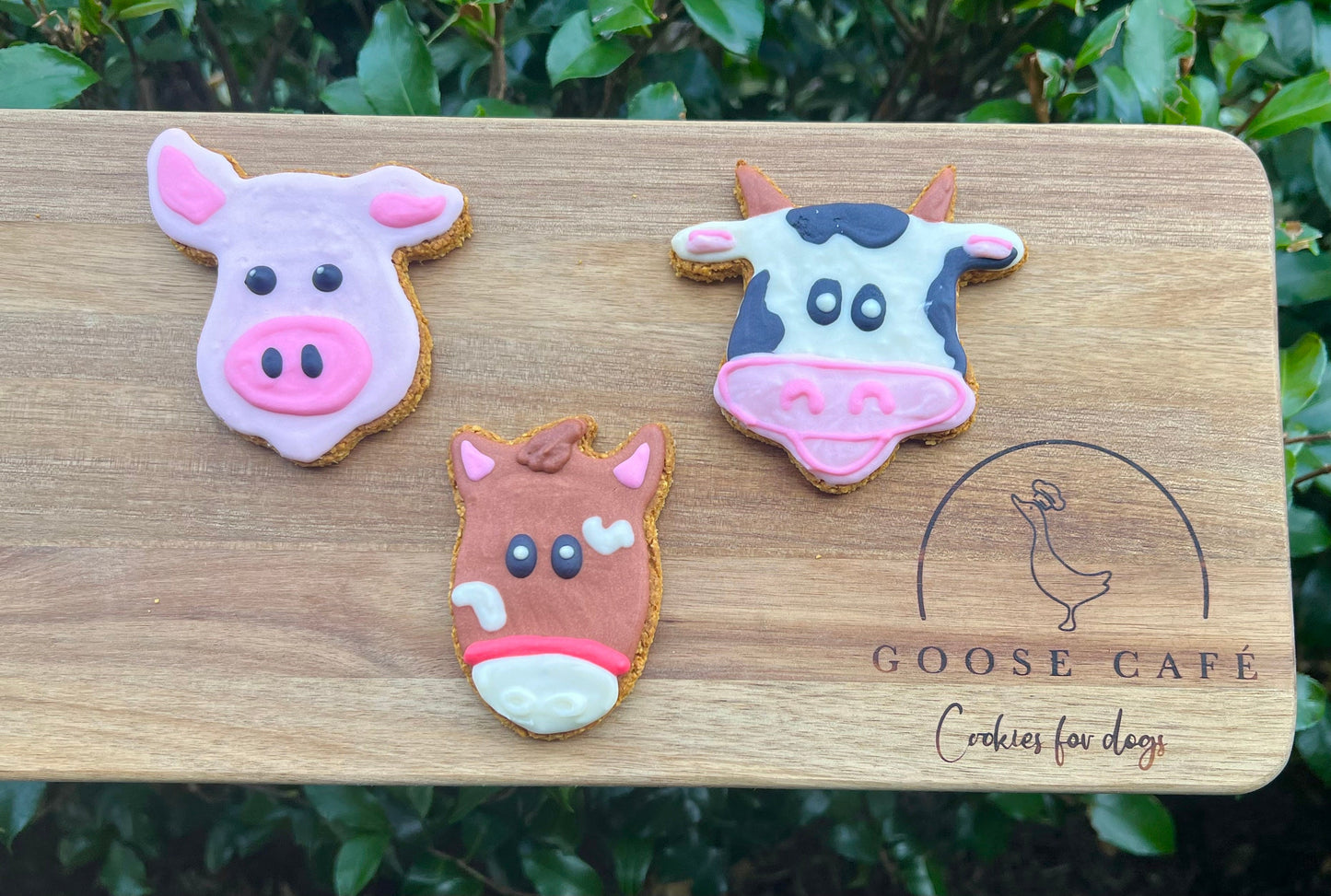 Farm Animals