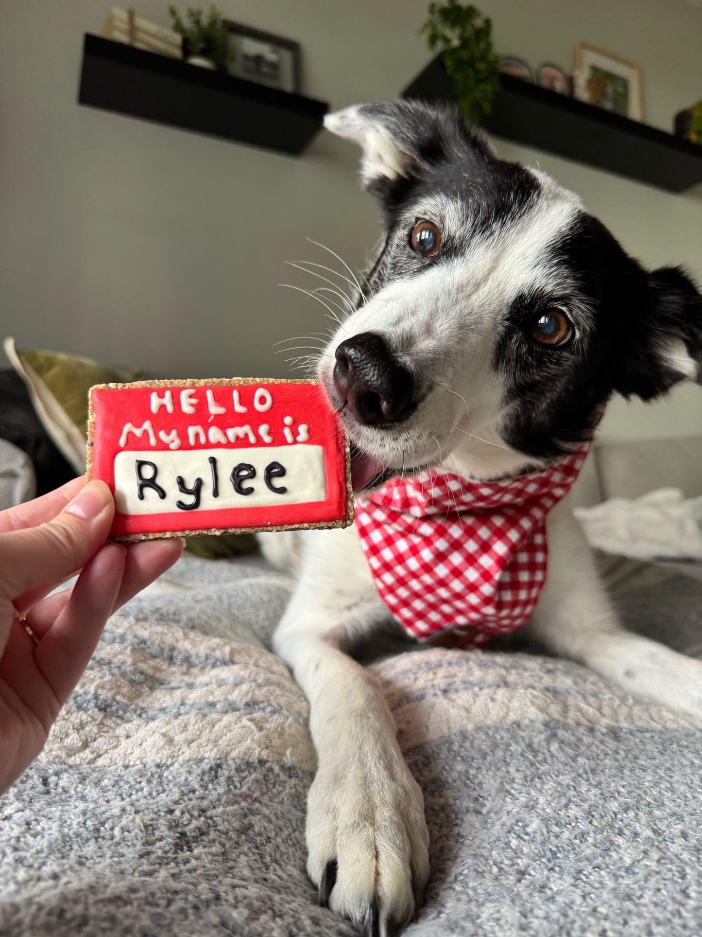 Name Tag