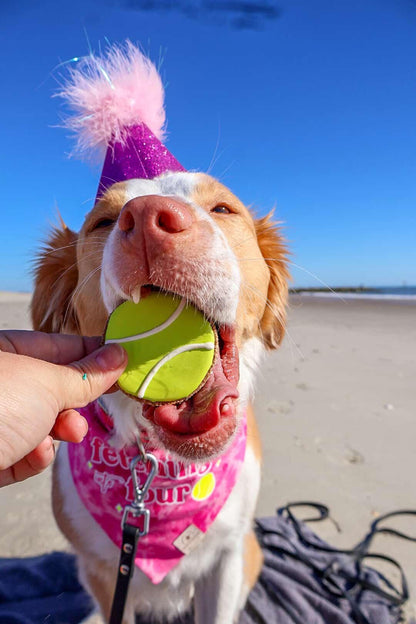Tennis Ball