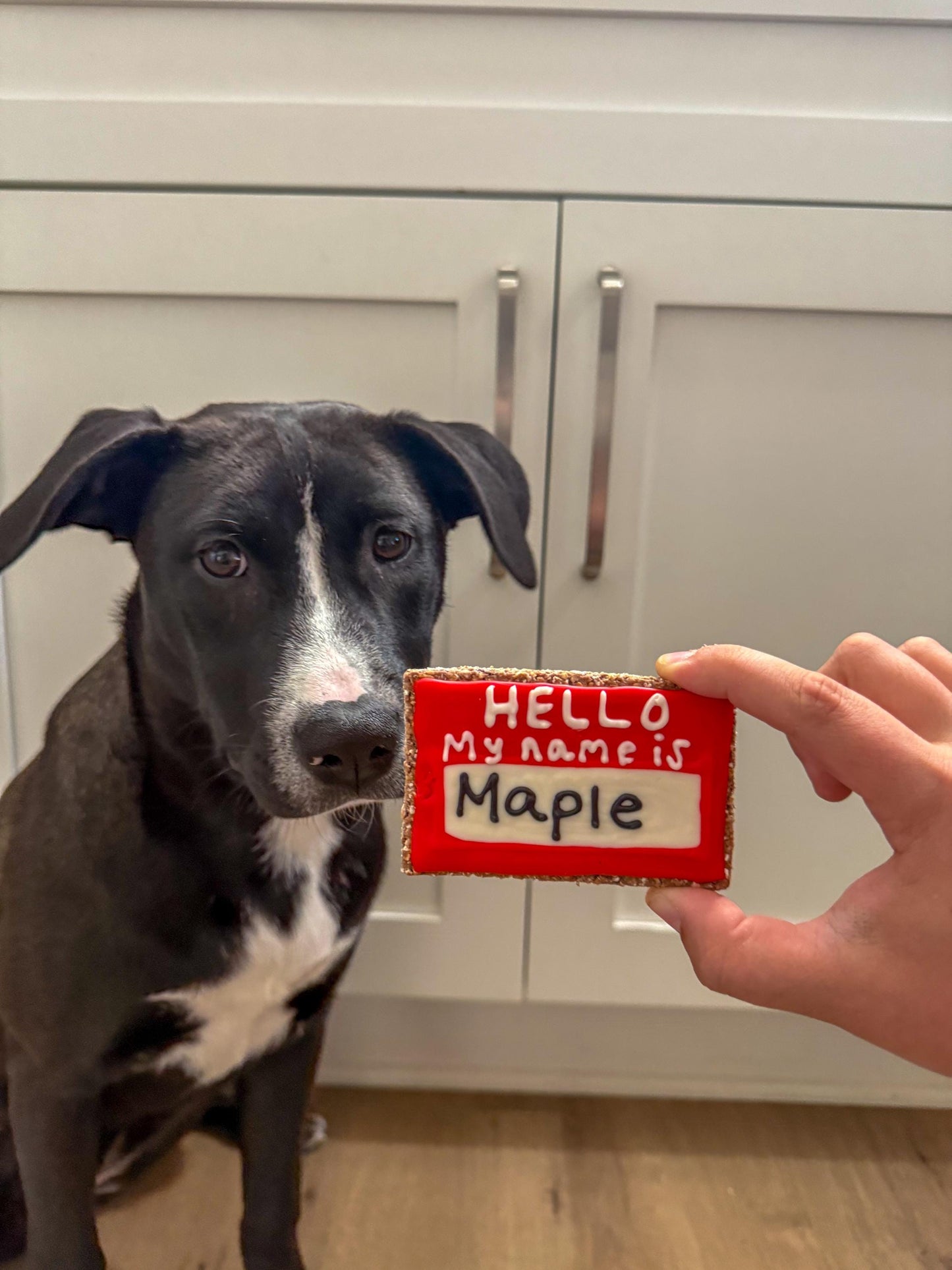Name Tag