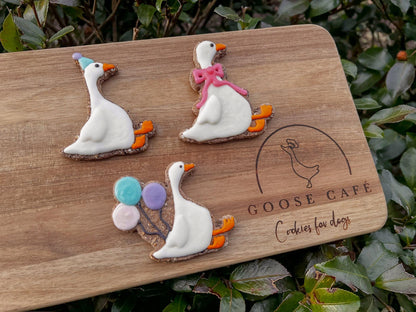 Party Goose Theme