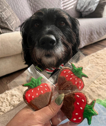 Chocolate Covered Strawberries