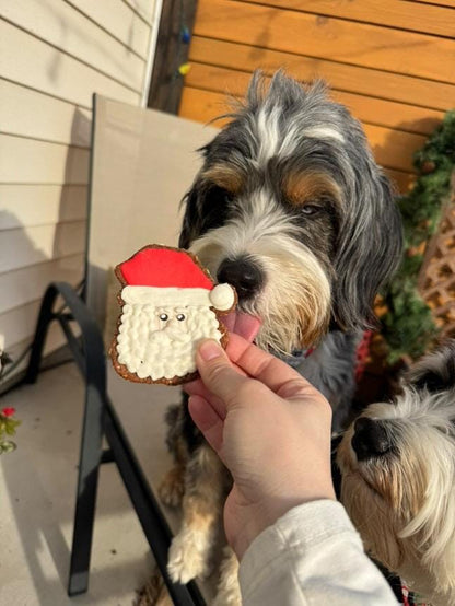 Santa, Reindeer, Stocking