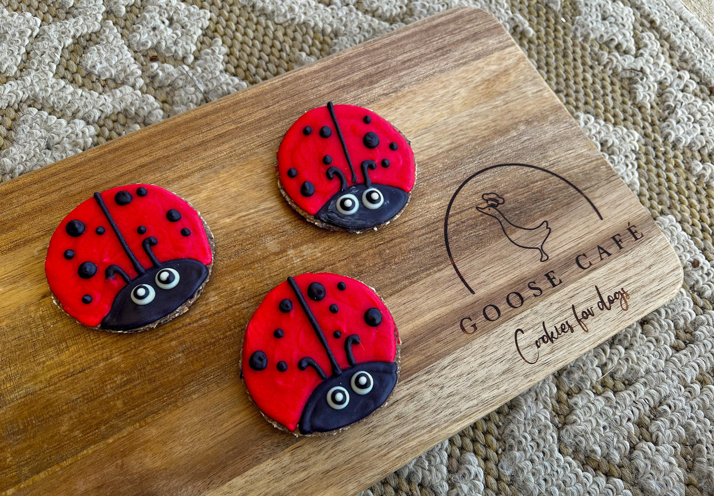 Ladybugs