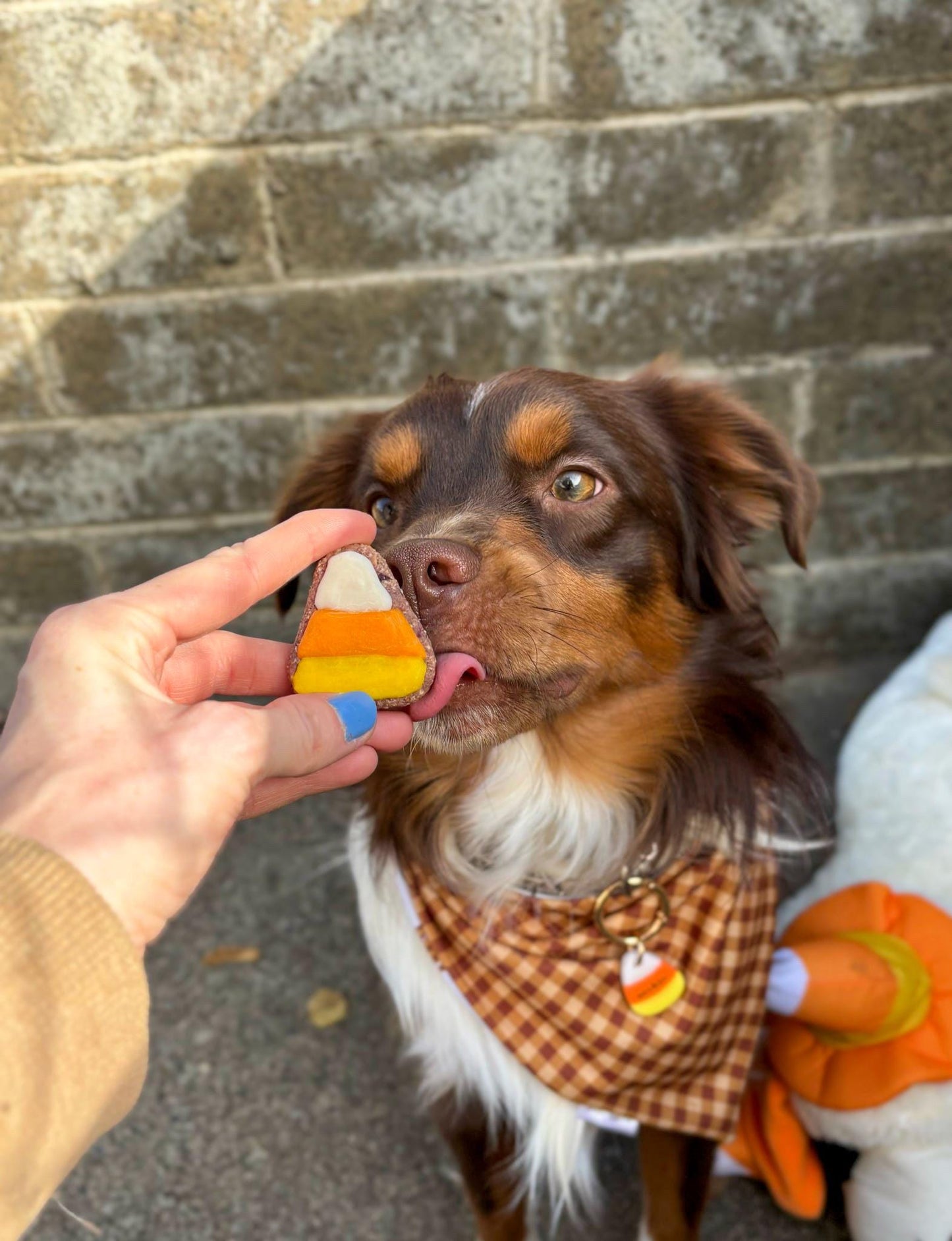 Mini Candy Corn Set of 3 or 6