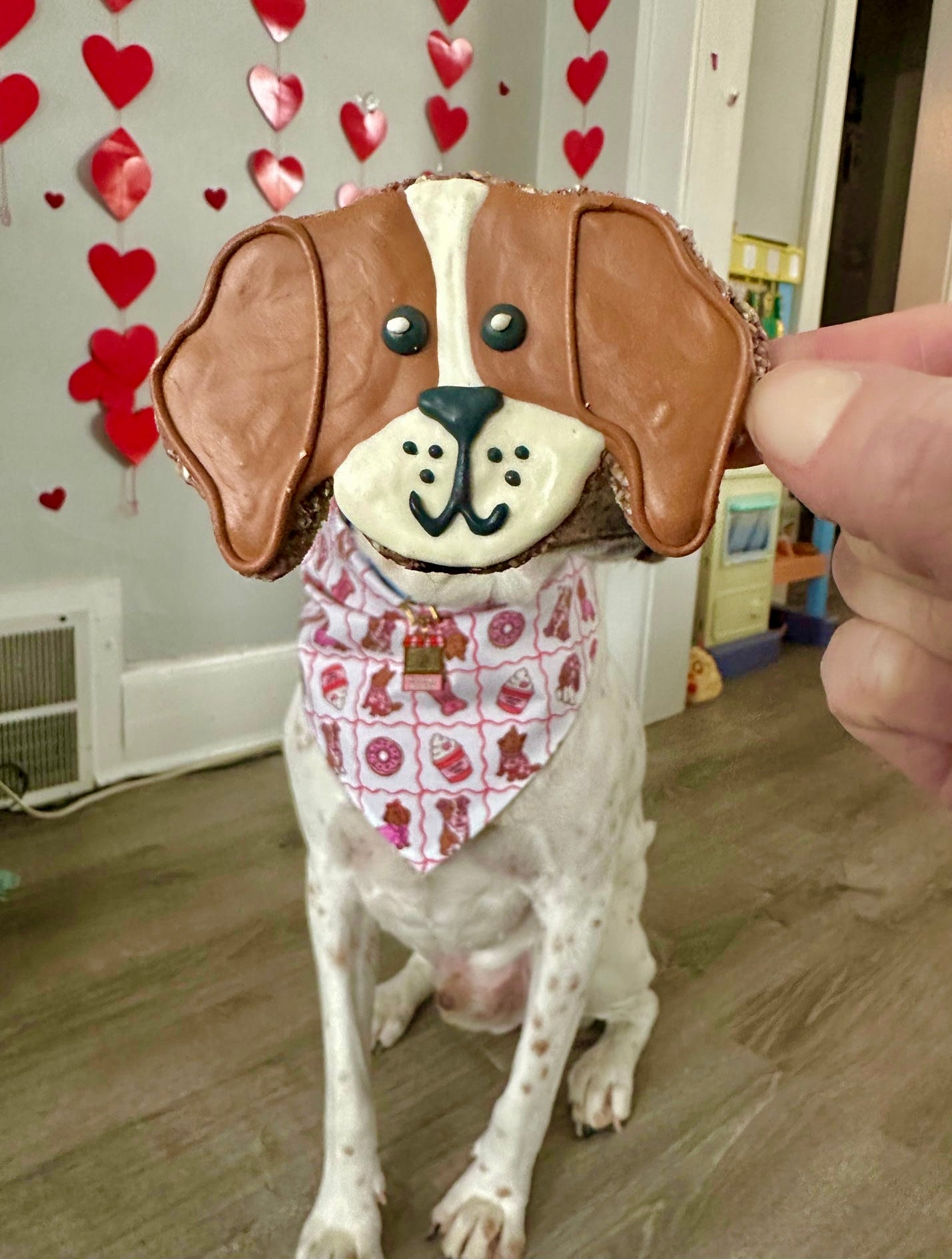 Customized Dog Face Cookies