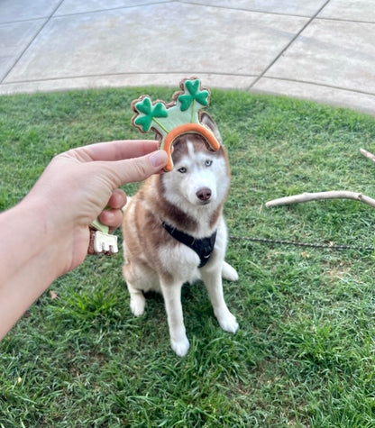 Shamrock Headband
