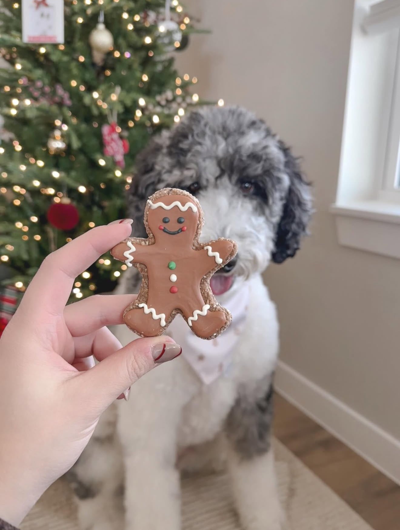 Mug, Gingerbread Man, Wreath