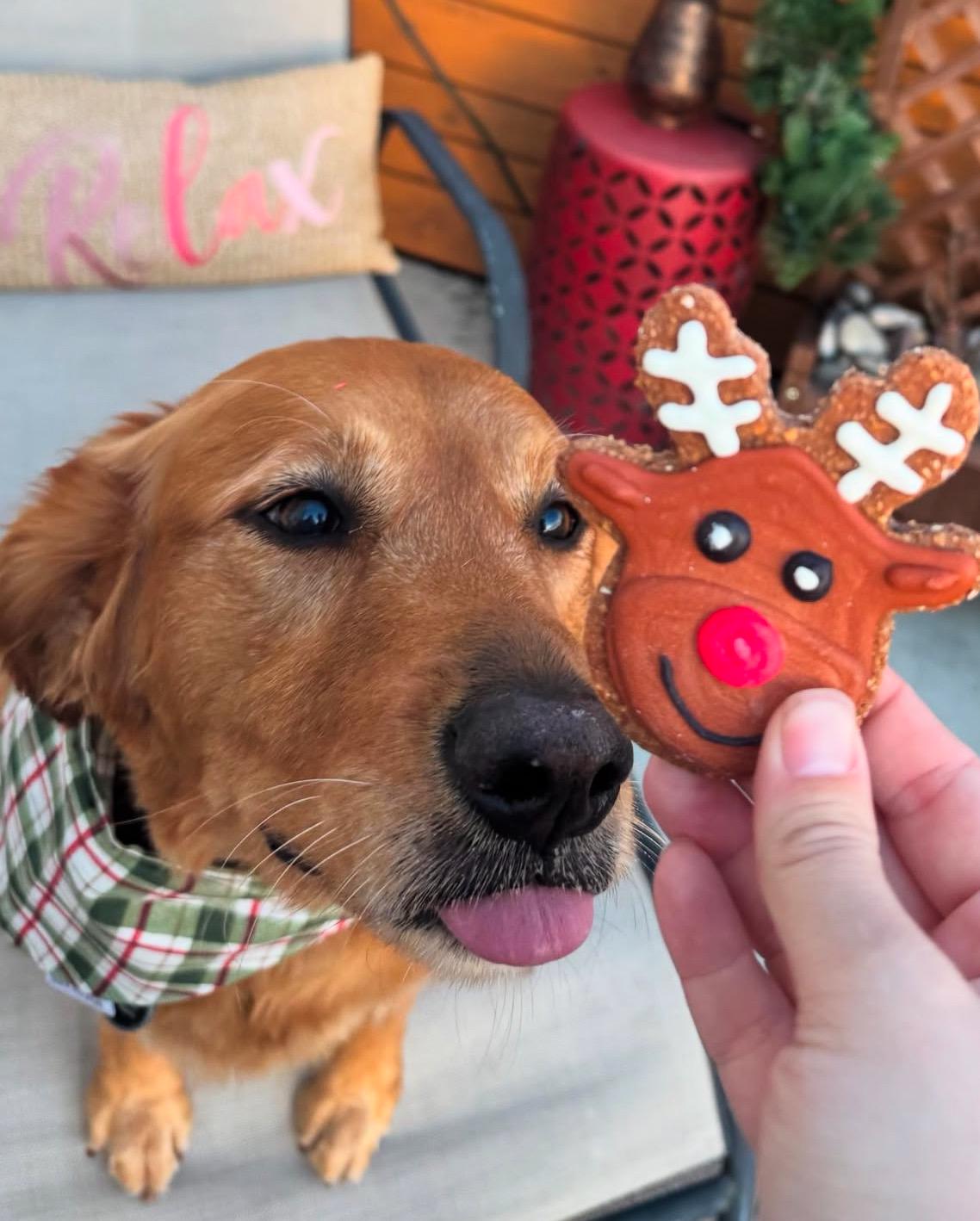 Santa, Reindeer, Stocking