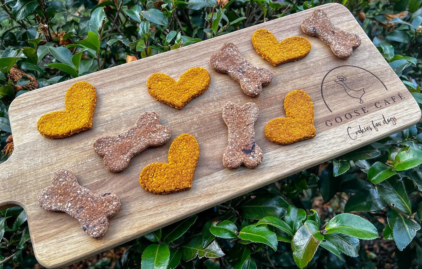 Set of 10 Cookies