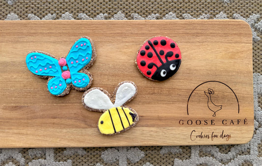 Insect Theme