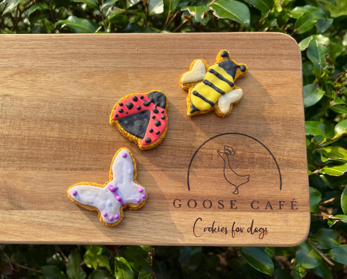 Mini Insects Set of 3