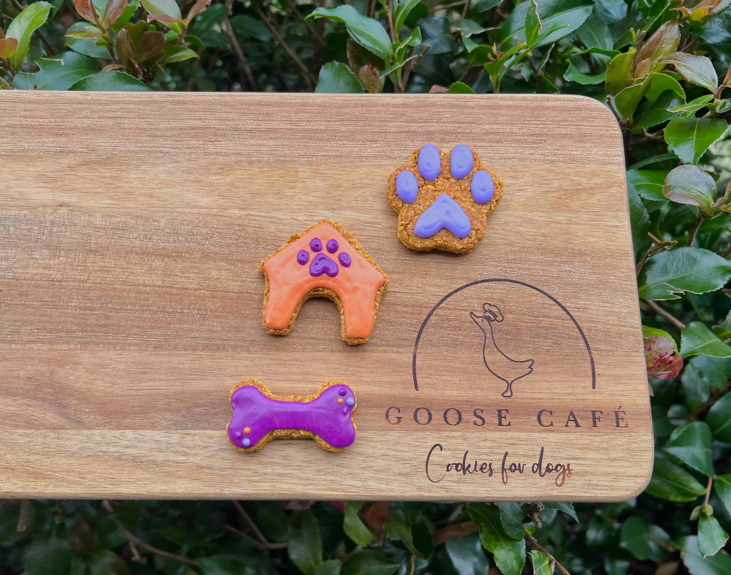 Mini Dog Theme