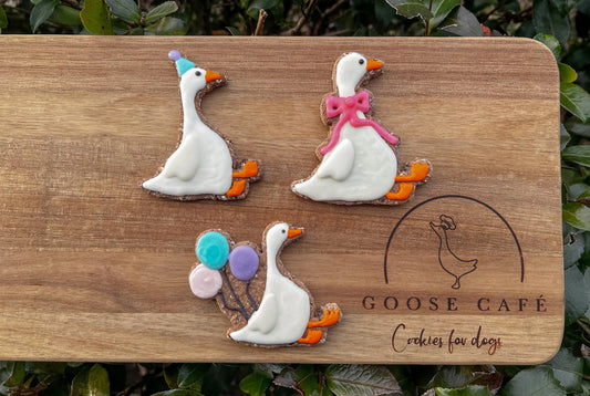Party Goose Theme