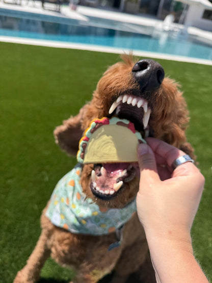 Taco