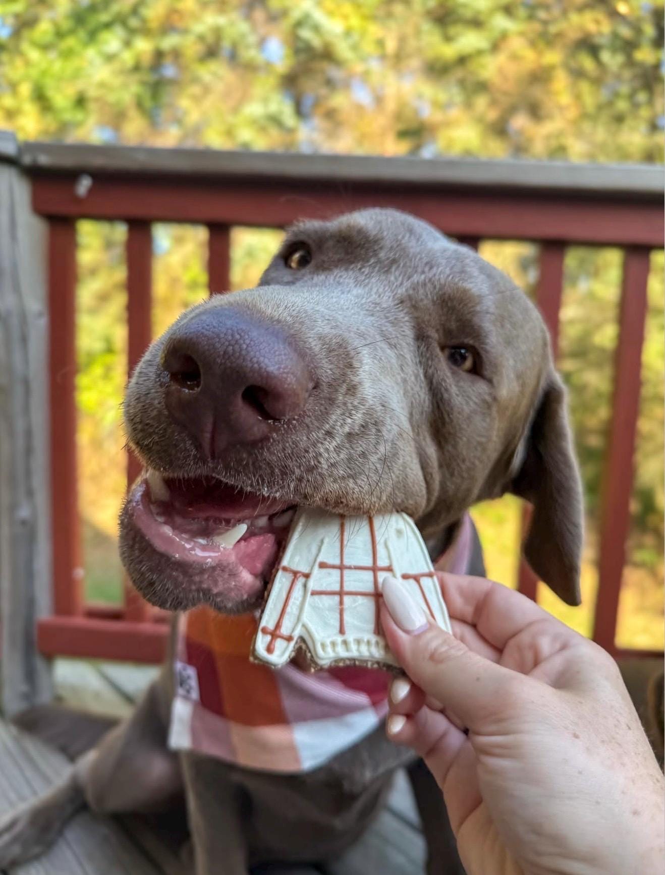 Sweater Weather Theme