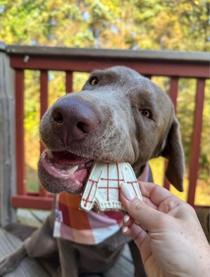Sweater Weather Theme